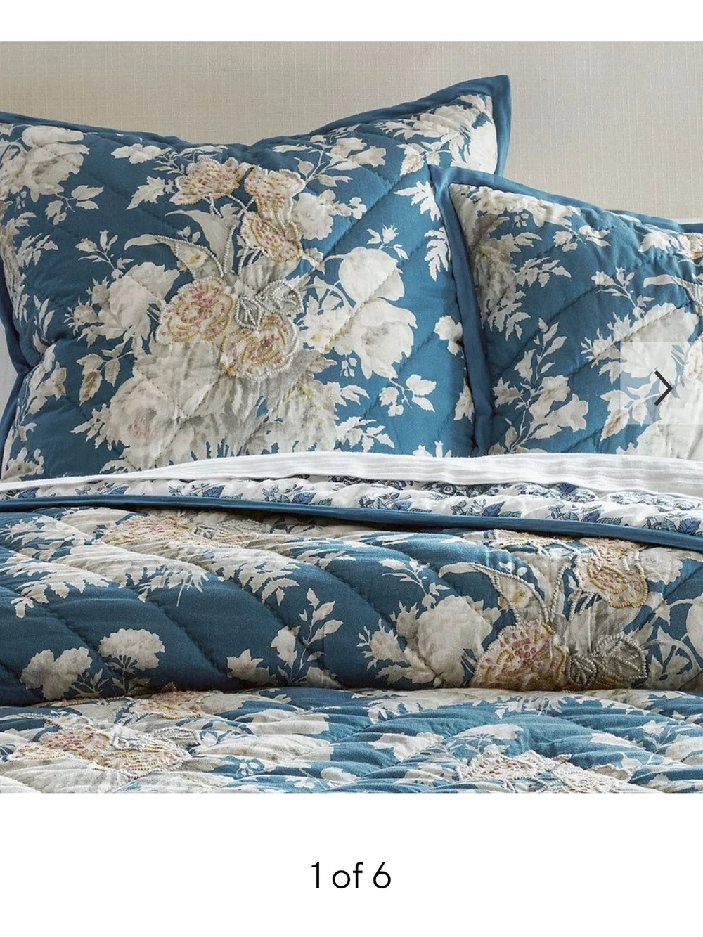 Pottery Barn Bethany Euro Sham Set Of Two